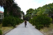 Palmy, Tomk cyklista, totok ... - Bosna a Hercegovina